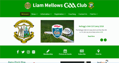 Desktop Screenshot of liammellows.ie